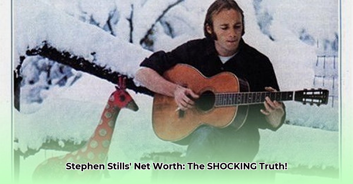 stephen-stills-net-worth